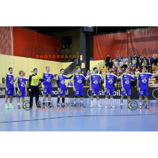 Team of Slovenia during handball match Slovenia-Luxemburg in qualification for World Championships Qatar 2015, played in Red Hall, Velenje on January 5,2013 