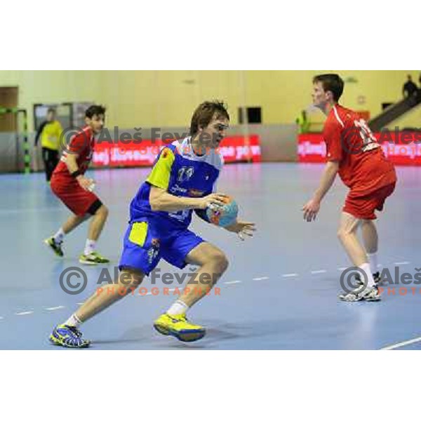 Sebastjan Skube of Slovenia in action during handball match Slovenia-Luxemburg in qualification for World Championships Qatar 2015, played in Red Hall, Velenje on January 5,2013 