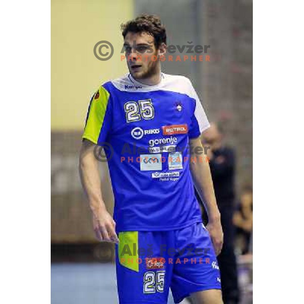 Borut Mackovsek of Slovenia in action during handball match Slovenia-Luxemburg in qualification for World Championships Qatar 2015, played in Red Hall, Velenje on January 5,2013 
