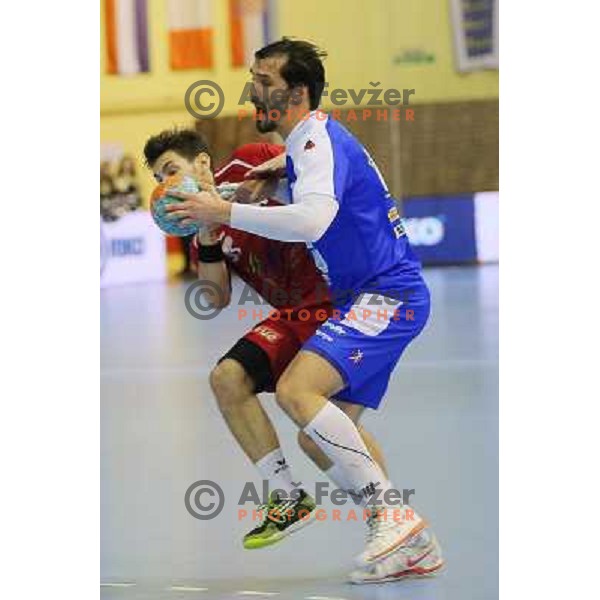 David Spiler of Slovenia in action during handball match Slovenia-Luxemburg in qualification for World Championships Qatar 2015, played in Red Hall, Velenje on January 5,2013 
