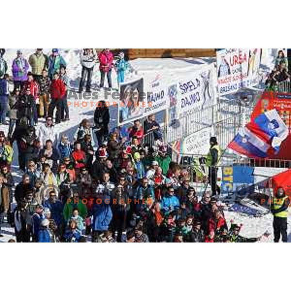 Fans during FIS Ski Jumping World Cup Ladies event on Normal hill in Planica, Slovenia on January 25,2014