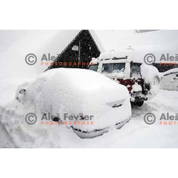 More than meter of snow fall in last 24 hours demands a lot of extra work for organisers of 50. Zlata Lisica- Golden fox trophy to set everything for AUDI FIS World Cup race in Kranjska gora, Slovenia on January 31, 2014