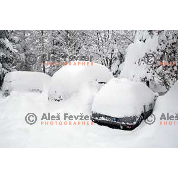 More than meter of snow fall in last 24 hours demands a lot of extra work for organisers of 50. Zlata Lisica- Golden fox trophy to set everything for AUDI FIS World Cup race in Kranjska gora, Slovenia on January 31, 2014