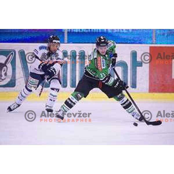  of Telemach Olimpija in action during ice-hockey match Telemach Olimpija- Sapa Fehervar AV 19 in Ebel league 2013/2014, played in Hala Tivoli, Ljubljana, Slovenia on February 1,2014