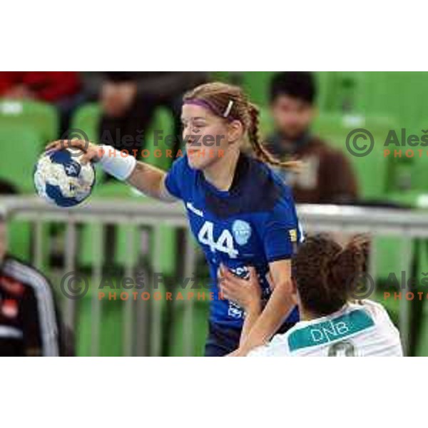 of RK Krim Mercator in action during handball match RK Krim Mercator (SLO)-Larvik (NOR) in first round of second phase of EHF Women\'s Champions league, played in Stozice Hall, Ljubljana, Slovenia on February 1,2014