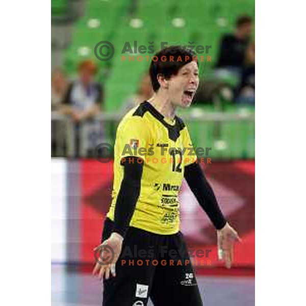 Sergeja Stefanisin of RK Krim Mercator in action during handball match RK Krim Mercator (SLO)-Larvik (NOR) in first round of second phase of EHF Women\'s Champions league, played in Stozice Hall, Ljubljana, Slovenia on February 1,2014