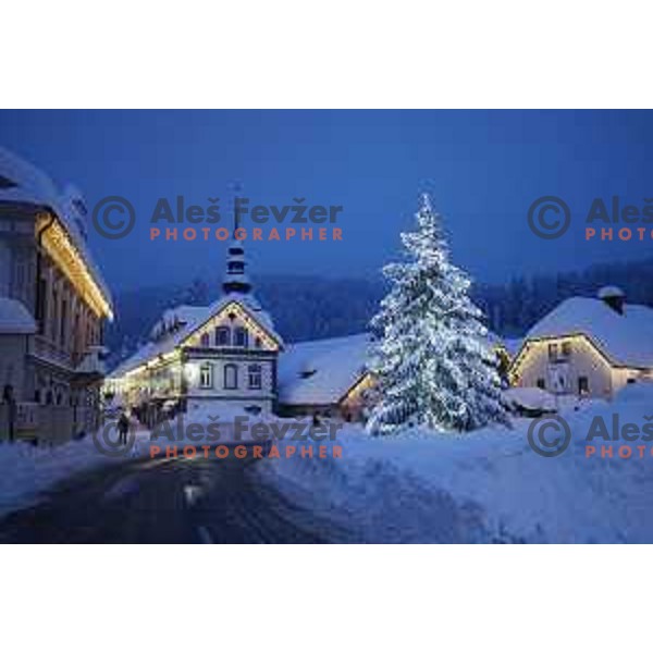 AUDI FIS World Cup slalom race for 50.Zlata Lisica- Golden Fox Trophy in Kranjsska gora, Slovenia on February 2, 2014