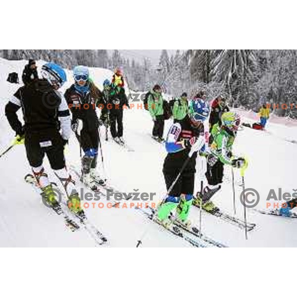 AUDI FIS World Cup slalom race for 50.Zlata Lisica- Golden Fox Trophy in Kranjsska gora, Slovenia on February 2, 2014