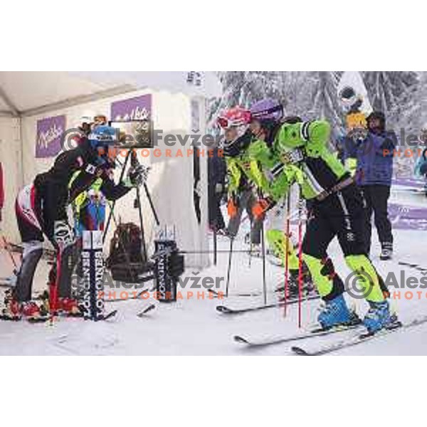 AUDI FIS World Cup slalom race for 50.Zlata Lisica- Golden Fox Trophy in Kranjsska gora, Slovenia on February 2, 2014