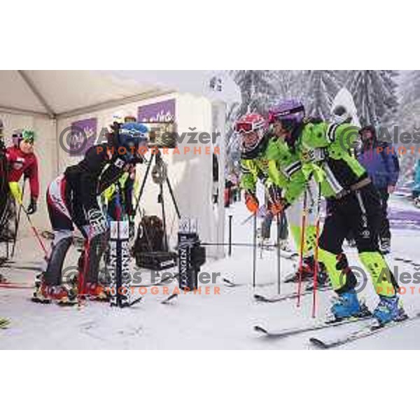AUDI FIS World Cup slalom race for 50.Zlata Lisica- Golden Fox Trophy in Kranjsska gora, Slovenia on February 2, 2014