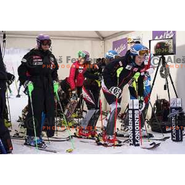 AUDI FIS World Cup slalom race for 50.Zlata Lisica- Golden Fox Trophy in Kranjsska gora, Slovenia on February 2, 2014