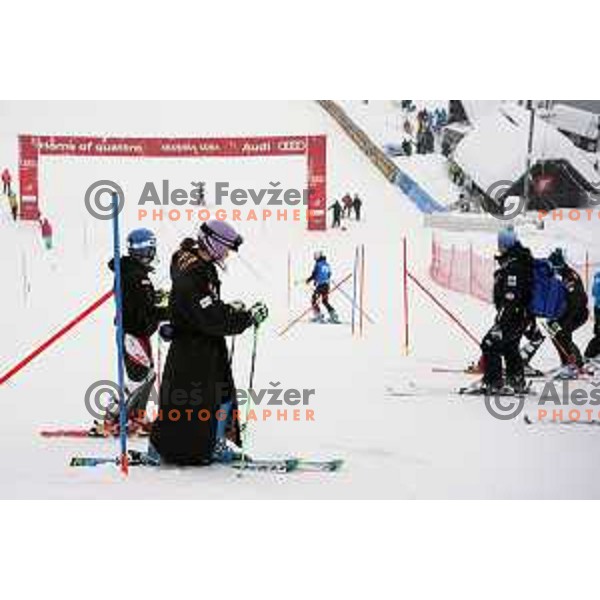Tina Maze (SLO) at AUDI FIS World Cup slalom race for 50.Zlata Lisica- Golden Fox Trophy in Kranjsska gora, Slovenia on February 2, 2014