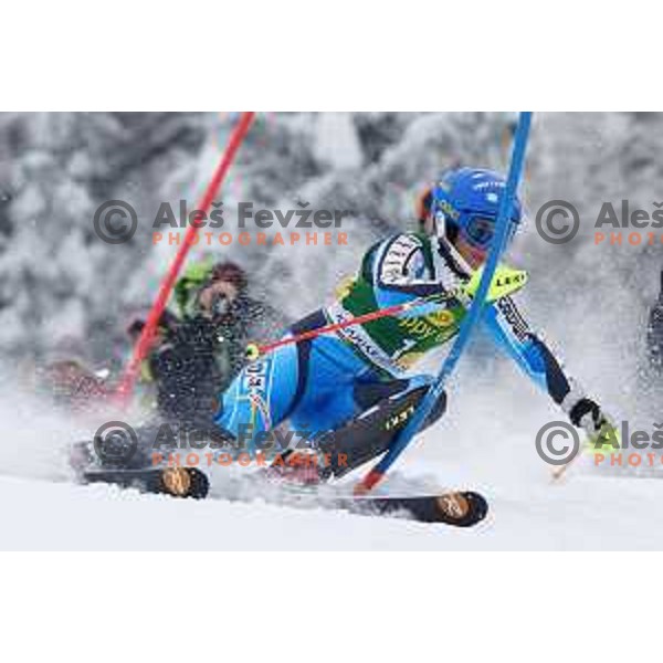 AUDI FIS World Cup slalom race for 50.Zlata Lisica- Golden Fox Trophy in Kranjsska gora, Slovenia on February 2, 2014