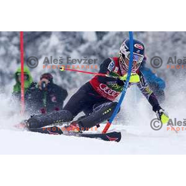 Mikaela Schifrin (USA) at AUDI FIS World Cup slalom race for 50.Zlata Lisica- Golden Fox Trophy in Kranjsska gora, Slovenia on February 2, 2014