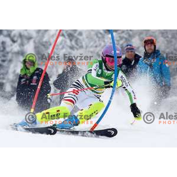 AUDI FIS World Cup slalom race for 50.Zlata Lisica- Golden Fox Trophy in Kranjsska gora, Slovenia on February 2, 2014