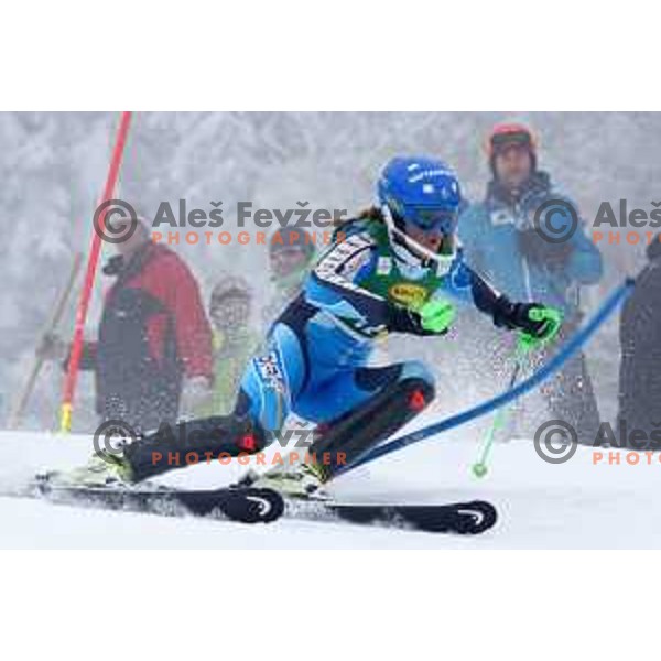 AUDI FIS World Cup slalom race for 50.Zlata Lisica- Golden Fox Trophy in Kranjsska gora, Slovenia on February 2, 2014