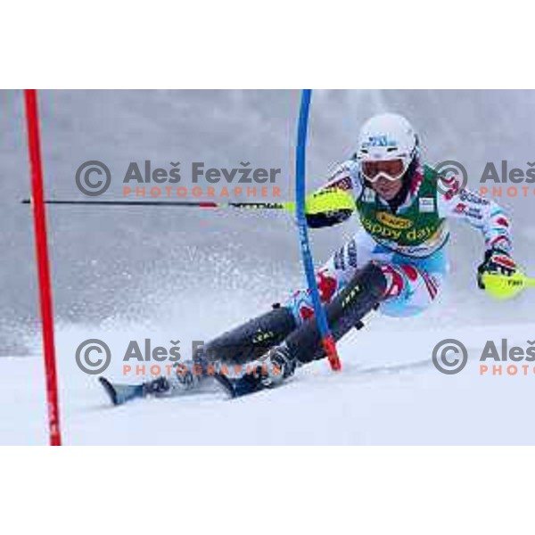 AUDI FIS World Cup slalom race for 50.Zlata Lisica- Golden Fox Trophy in Kranjska gora, Slovenia on February 2, 2014