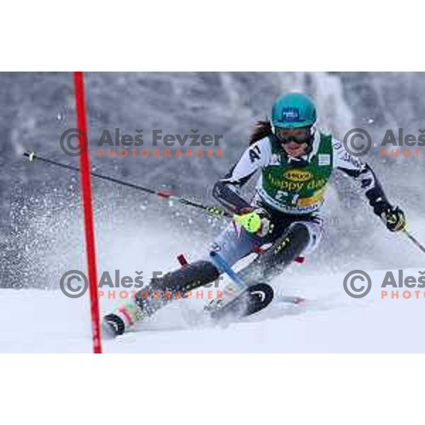 AUDI FIS World Cup slalom race for 50.Zlata Lisica- Golden Fox Trophy in Kranjska gora, Slovenia on February 2, 2014