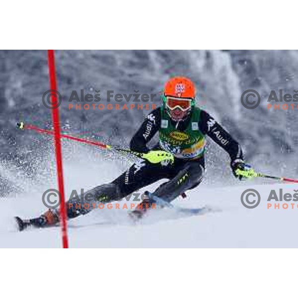 AUDI FIS World Cup slalom race for 50.Zlata Lisica- Golden Fox Trophy in Kranjska gora, Slovenia on February 2, 2014