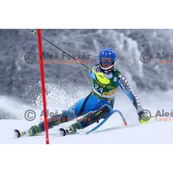 AUDI FIS World Cup slalom race for 50.Zlata Lisica- Golden Fox Trophy in Kranjska gora, Slovenia on February 2, 2014