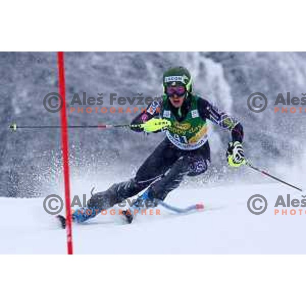AUDI FIS World Cup slalom race for 50.Zlata Lisica- Golden Fox Trophy in Kranjska gora, Slovenia on February 2, 2014