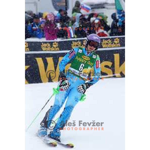 Tina Maze (SLO) at AUDI FIS World Cup slalom race for 50.Zlata Lisica- Golden Fox Trophy in Kranjsska gora, Slovenia on February 2, 2014