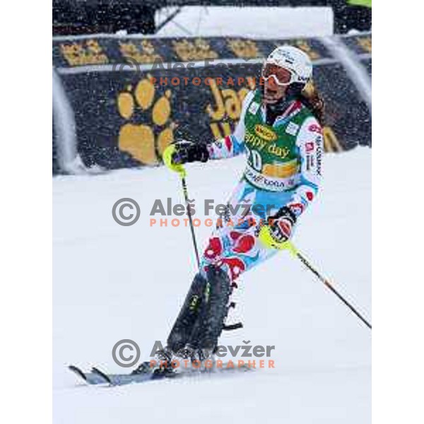 AUDI FIS World Cup slalom race for 50.Zlata Lisica- Golden Fox Trophy in Kranjska gora, Slovenia on February 2, 2014