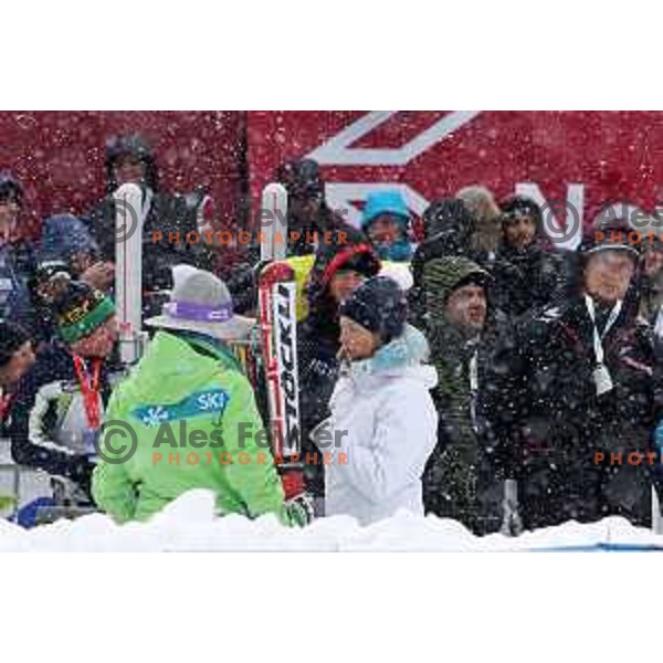 AUDI FIS World Cup slalom race for 50.Zlata Lisica- Golden Fox Trophy in Kranjska gora, Slovenia on February 2, 2014