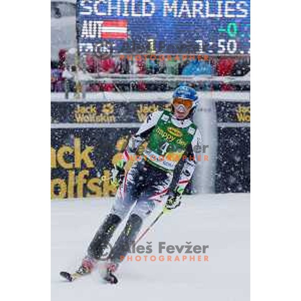AUDI FIS World Cup slalom race for 50.Zlata Lisica- Golden Fox Trophy in Kranjska gora, Slovenia on February 2, 2014