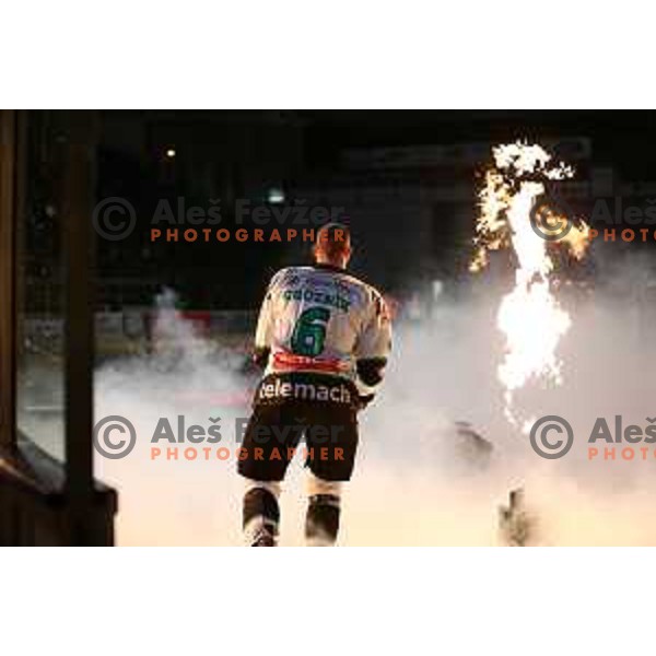 of Slovenia at photo shooting during Day of Slovenian Ice-Hockey in Hala Tivoli, Ljubljana on February 3, 2014