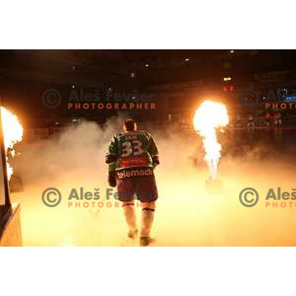 of Slovenia at photo shooting during Day of Slovenian Ice-Hockey in Hala Tivoli, Ljubljana on February 3, 2014
