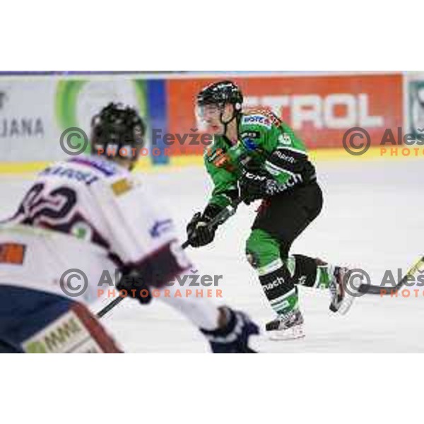 of Telemach Olimpija in action during ice-hockey match Telemach Olimpija- Sapa Fehervar AV 19 in Ebel league 2013/2014, played in Hala Tivoli, Ljubljana, Slovenia on February 1,2014