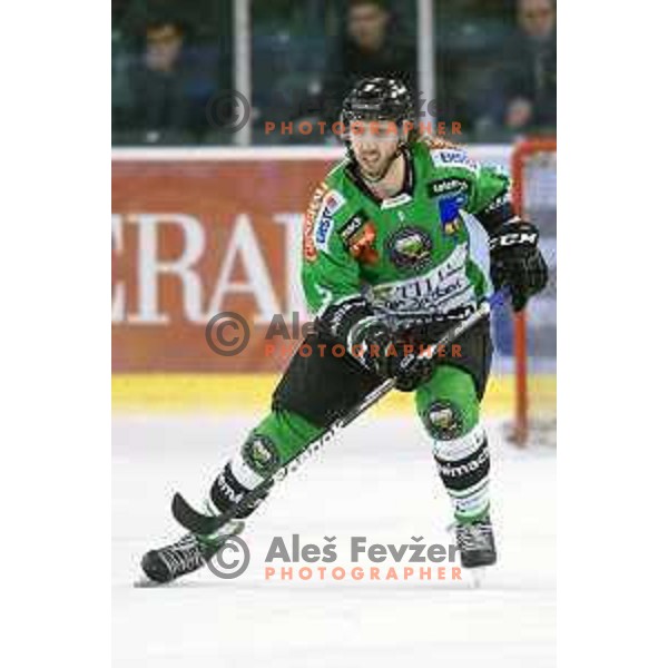 of Telemach Olimpija in action during ice-hockey match Telemach Olimpija- Sapa Fehervar AV 19 in Ebel league 2013/2014, played in Hala Tivoli, Ljubljana, Slovenia on February 1,2014