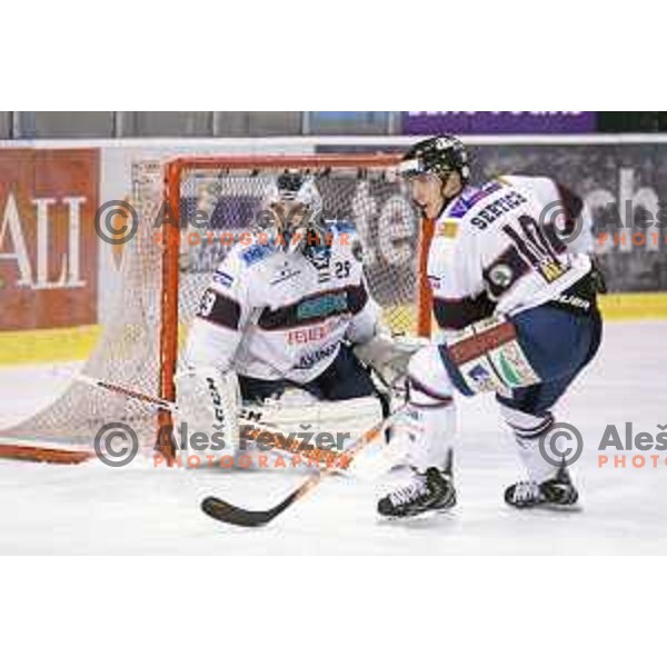 of Telemach Olimpija in action during ice-hockey match Telemach Olimpija- Sapa Fehervar AV 19 in Ebel league 2013/2014, played in Hala Tivoli, Ljubljana, Slovenia on February 1,2014