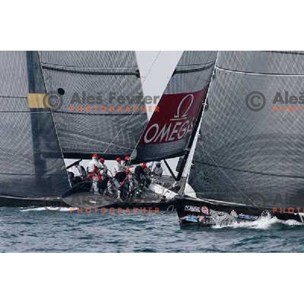 Action at fleet race in sailing regatta for RC 44 Portoroz Cup in Pororoz,Slovenia.Photo by Ales Fevzer 