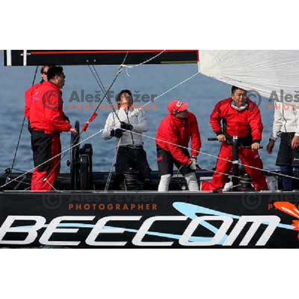 Team Beecom at fleet race in sailing regatta for RC 44 Portoroz Cup in Pororoz,Slovenia.Photo by Ales Fevzer 