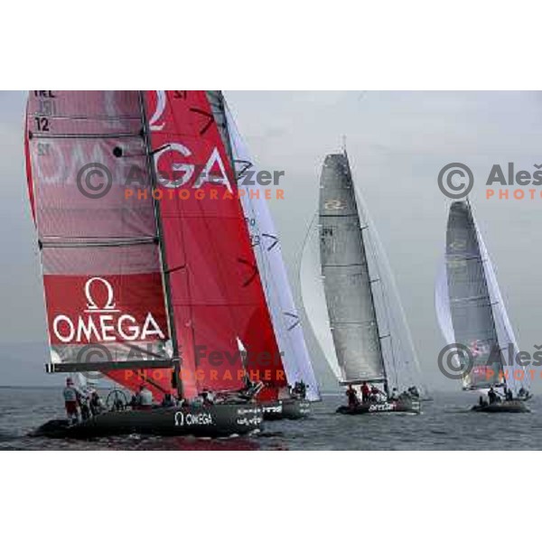 Team Omega chassing Cro-a-sail, Beecom and Ekipa 44 at fleet race in sailing regatta for RC 44 Portoroz Cup in Pororoz,Slovenia.Photo by Ales Fevzer 