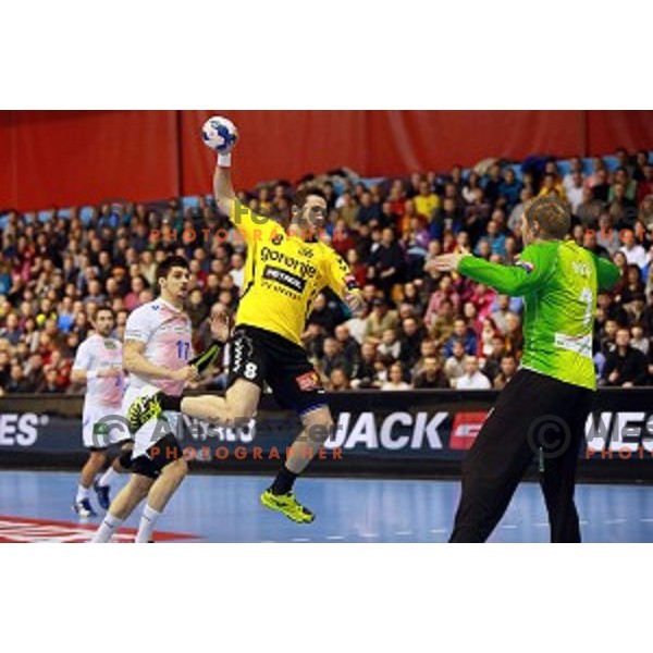 Senjamin Buric of Gorenje Velenje during handball match Gorenje Velenje (SLO)-Hamburg (GER) in EHF Champions league, played in Red Hall, Velenje, Slovenia on February 5, 2014