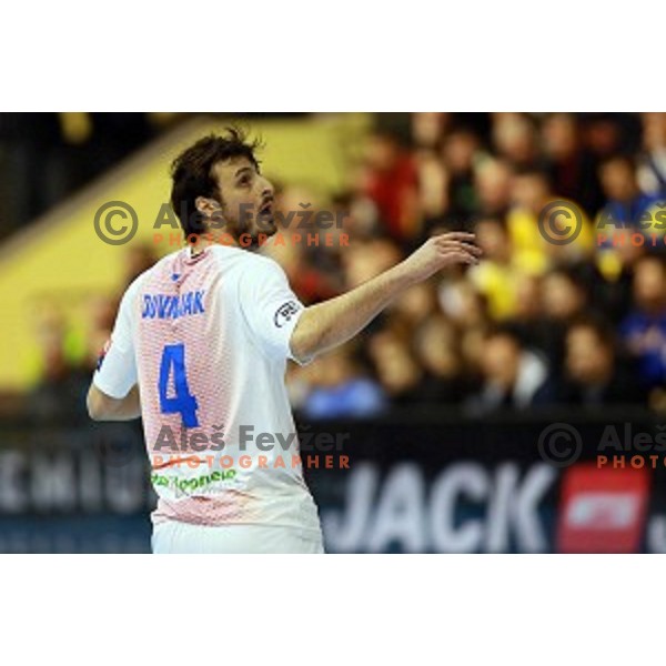 Domagoj Duvnjak of Hamburg during handball match Gorenje Velenje (SLO)-Hamburg (GER) in EHF Champions league, played in Red Hall, Velenje, Slovenia on February 5, 2014