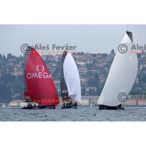 Sunday action at fleet race in sailing regatta for RC 44 Portoroz Cup in Pororoz,Slovenia.Photo by Ales Fevzer 