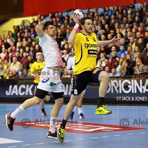 Senjamin Buric of Gorenje Velenje during handball match Gorenje Velenje (SLO)-Hamburg (GER) in EHF Champions league, played in Red Hall, Velenje, Slovenia on February 5, 2014