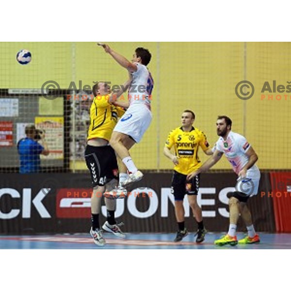 Senjamin Buric of Gorenje Velenje during handball match Gorenje Velenje (SLO)-Hamburg (GER) in EHF Champions league, played in Red Hall, Velenje, Slovenia on February 5, 2014