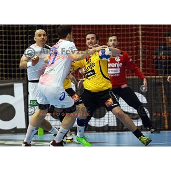 Senjamin Buric of Gorenje Velenje during handball match Gorenje Velenje (SLO)-Hamburg (GER) in EHF Champions league, played in Red Hall, Velenje, Slovenia on February 5, 2014