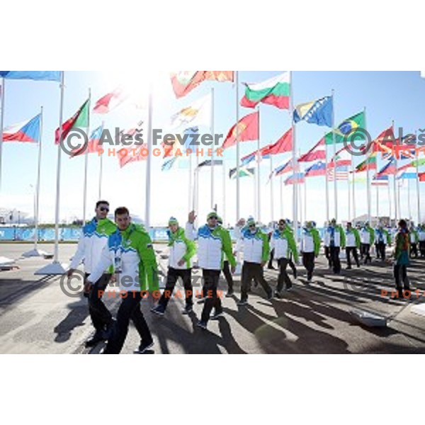 Slovenia Ice-Hockey Olympic team at Team Welcome Ceremony in Coastal Olympic Village in Sochi on February 6, 2014