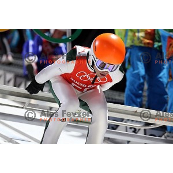 Jernej Damjan of Slovenia during men\'s Normal Hill Individual practice in RusSki Gorki Jumping Center at Sochi 2014 Winter Olympic Games on February 6, 2014