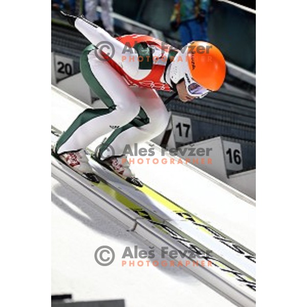 Jernej Damjan of Slovenia during men\'s Normal Hill Individual practice in RusSki Gorki Jumping Center at Sochi 2014 Winter Olympic Games on February 6, 2014