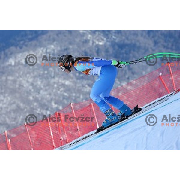 Tina Maze of Slovenia during Ladies Downhill Training at Rosa Khutor Alpine Center at Sochi 2014 Winter Olympic Games on February 7, 2014