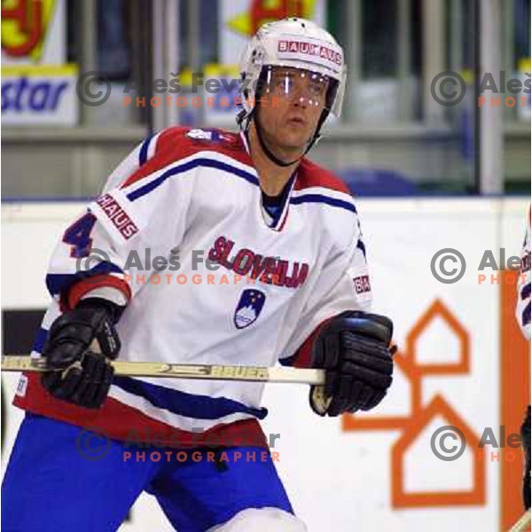 Andrej Brodnik of Slovenia Ice-Hockey team during World Championship group B in Ljubljana, Slovenia on April 2001