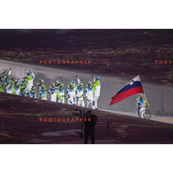 Tomaz Razingar, flag bearer of Slovenia during Opening Ceremony of XXII Winter Olympic games Sochi 2014 at Fisht Stadium, Russia on February 7, 2014