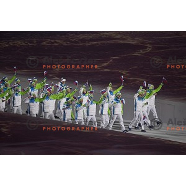 Team of Slovenia at Opening Ceremony of XXII Winter Olympic games Sochi 2014 at Fisht Stadium, Russia on February 7, 2014